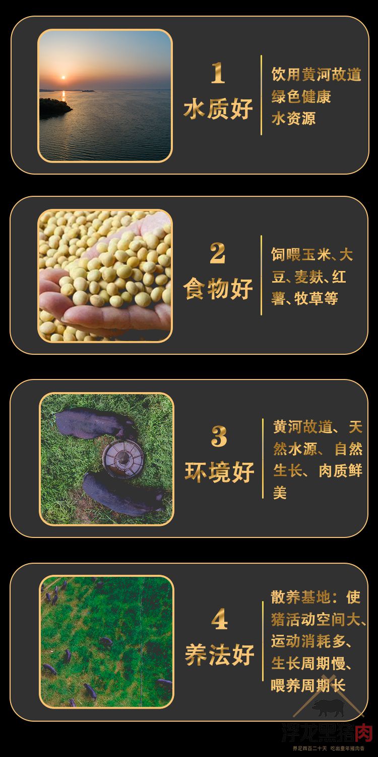 五花肉 生态黑猪肉(图4)